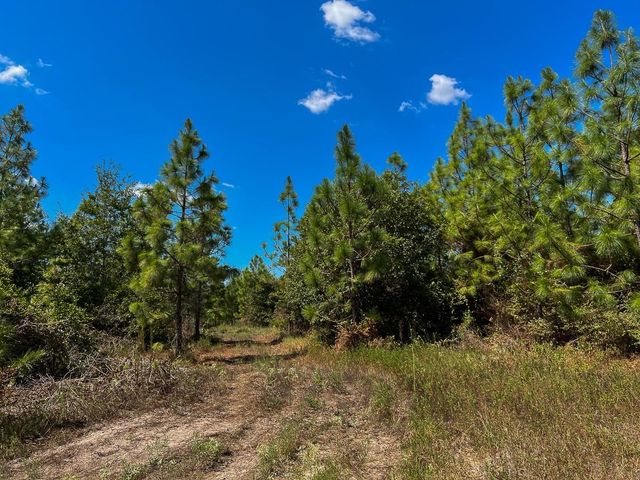 1 Murray Lane, Huntsville, TX 77320