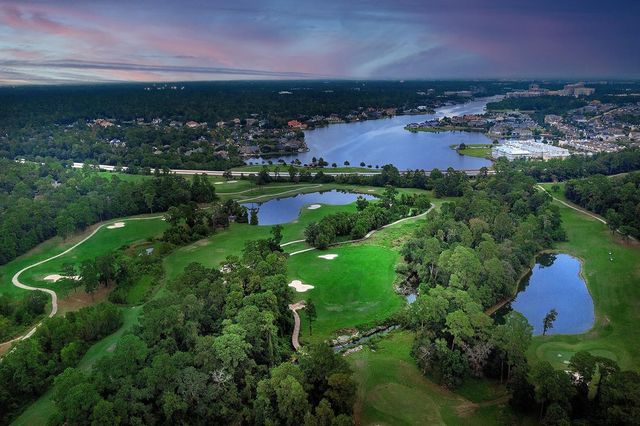 26442 Mcdonald Road, Spring, TX 77380