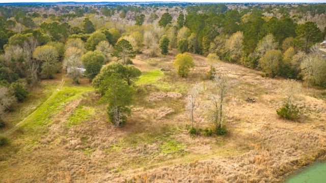 276 Hoot Owl Hollow Road, Goodrich, TX 77335