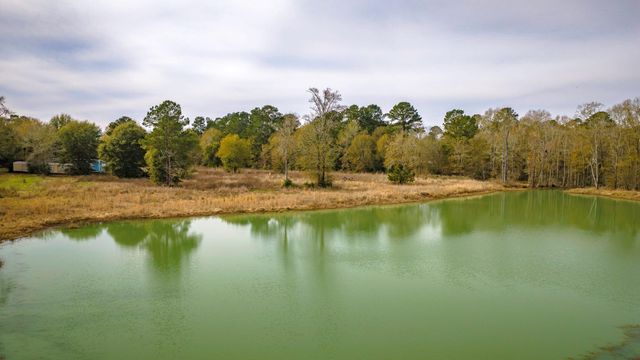 276 Hoot Owl Hollow Road, Goodrich, TX 77335