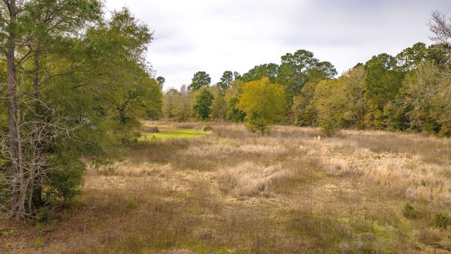 276 Hoot Owl Hollow Road, Goodrich, TX 77335