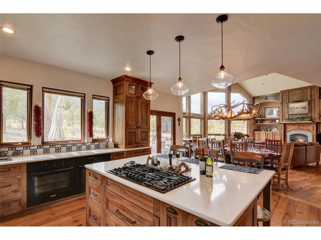 30481 National Forest Dr, Buena Vista, CO 81211