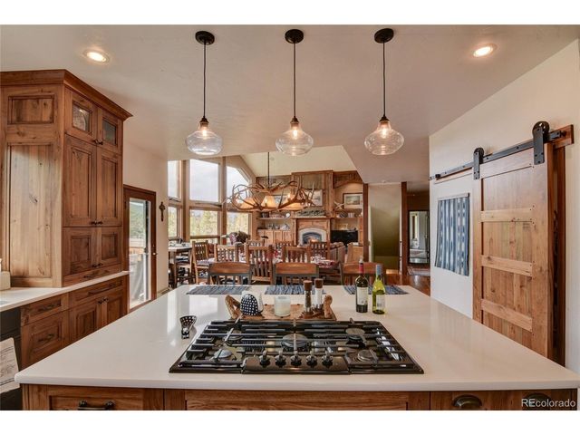 30481 National Forest Dr, Buena Vista, CO 81211