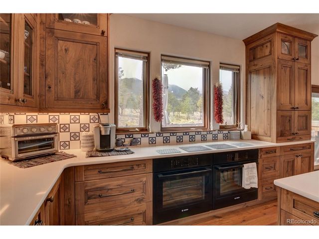 30481 National Forest Dr, Buena Vista, CO 81211