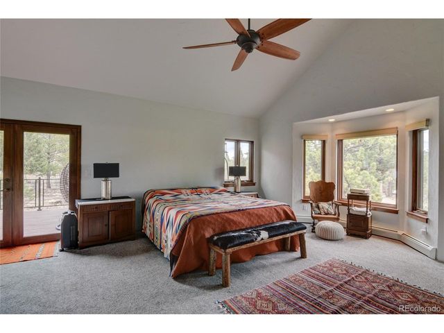 30481 National Forest Dr, Buena Vista, CO 81211