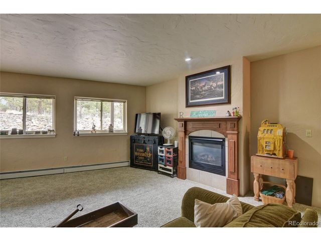 30481 National Forest Dr, Buena Vista, CO 81211