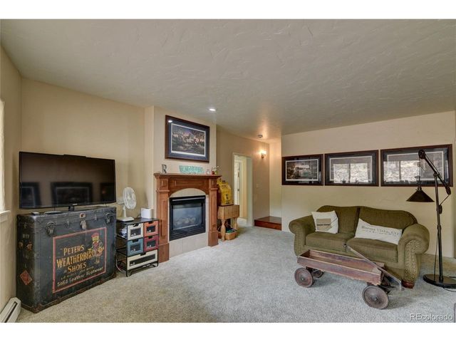 30481 National Forest Dr, Buena Vista, CO 81211
