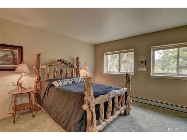 30481 National Forest Dr, Buena Vista, CO 81211
