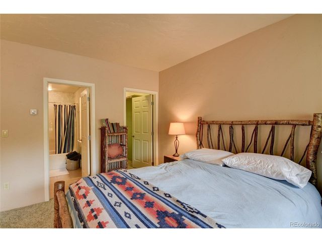 30481 National Forest Dr, Buena Vista, CO 81211