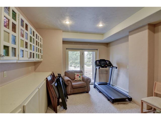 30481 National Forest Dr, Buena Vista, CO 81211