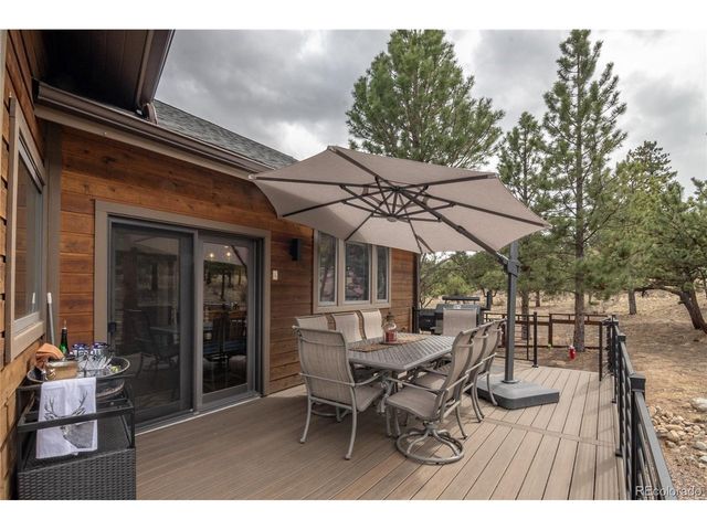 30481 National Forest Dr, Buena Vista, CO 81211