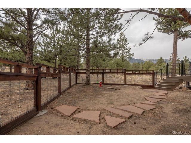 30481 National Forest Dr, Buena Vista, CO 81211