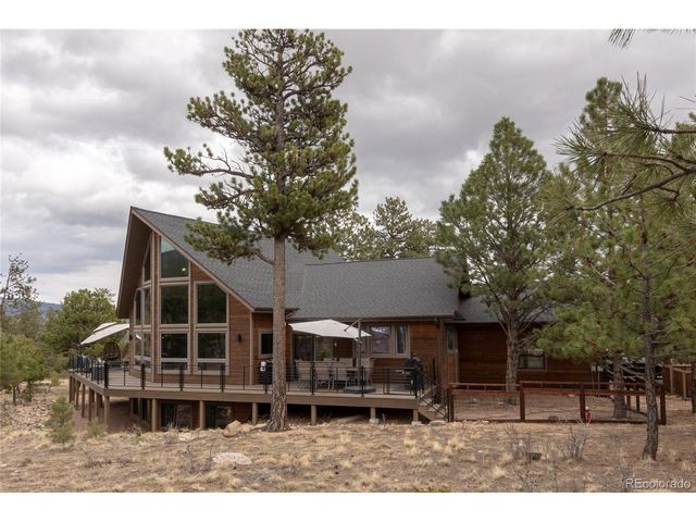 30481 National Forest Dr, Buena Vista, CO 81211