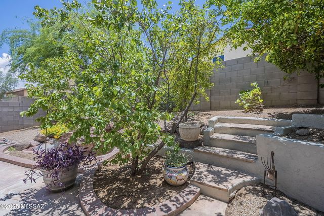 1311 W Calle Libro Del Retrato, Sahuarita, AZ 85629