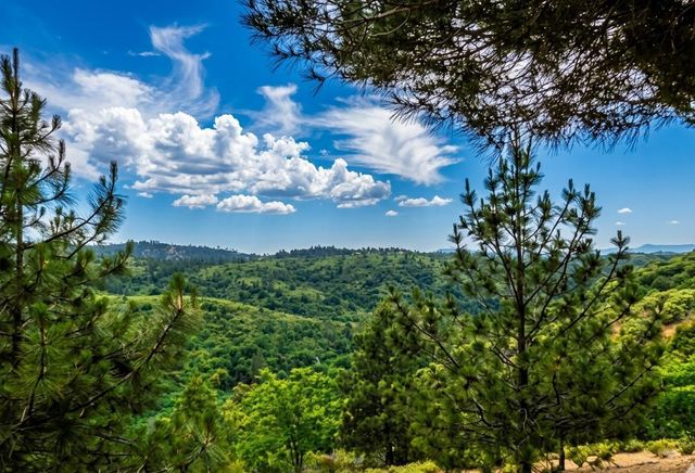 5595 Jasper Ridge Rd, Murphys, CA 95247