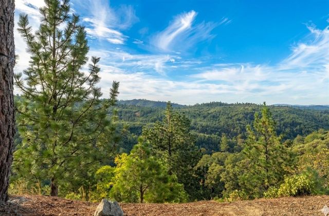 5595 Jasper Ridge Rd, Murphys, CA 95247