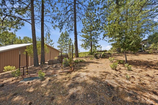 5595 Jasper Ridge Rd, Murphys, CA 95247