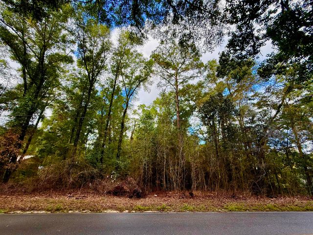 Lot 3 N Norwood Road, Defuniak Springs, FL 32433