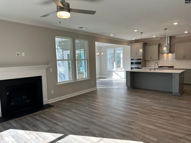 314 Rising Stream Way, Chapin, SC 29036