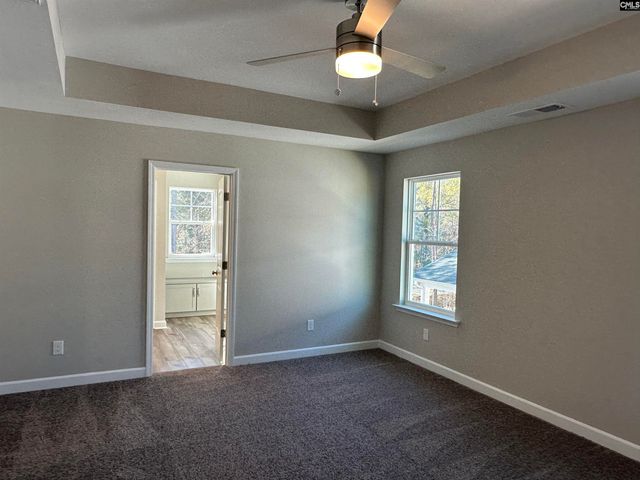 314 Rising Stream Way, Chapin, SC 29036