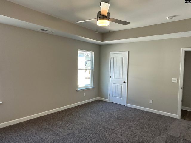 314 Rising Stream Way, Chapin, SC 29036