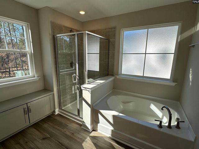 314 Rising Stream Way, Chapin, SC 29036