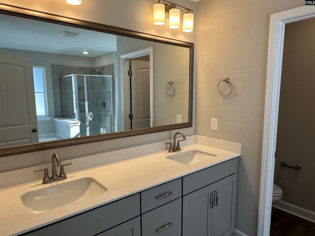 314 Rising Stream Way, Chapin, SC 29036