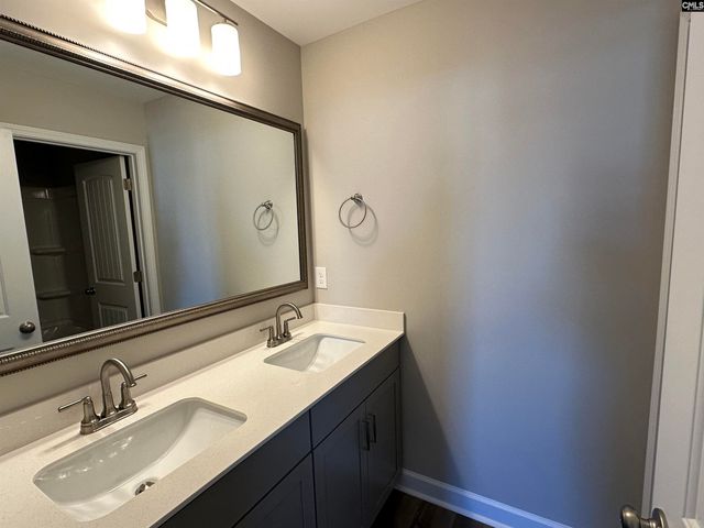 314 Rising Stream Way, Chapin, SC 29036