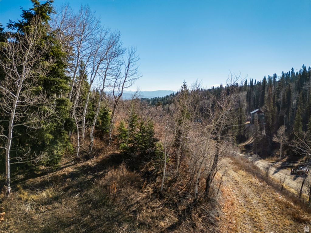 Image 13 of property listing at 1678 W Alexander Canyon Rd # D-92, Coalville, UT 84017