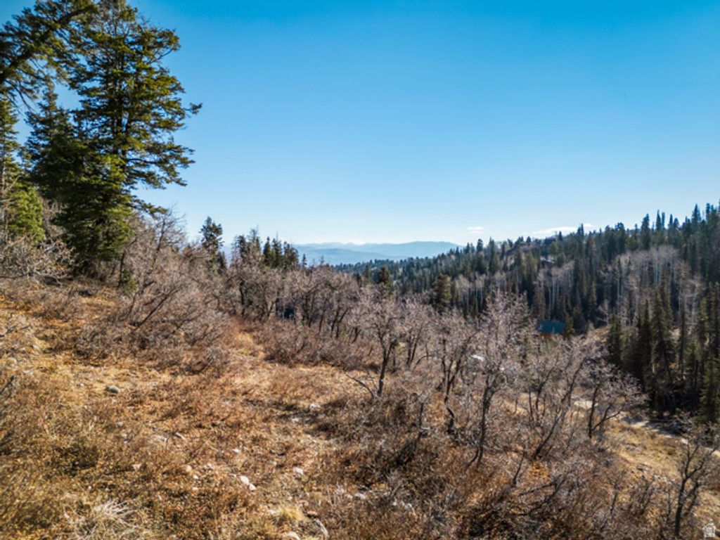 Image 17 of property listing at 1678 W Alexander Canyon Rd # D-92, Coalville, UT 84017
