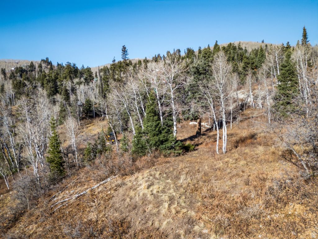 Image 19 of property listing at 1678 W Alexander Canyon Rd # D-92, Coalville, UT 84017