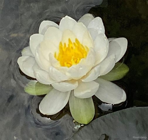 4616 Cass Elizabeth Road, Waterford, MI 48328