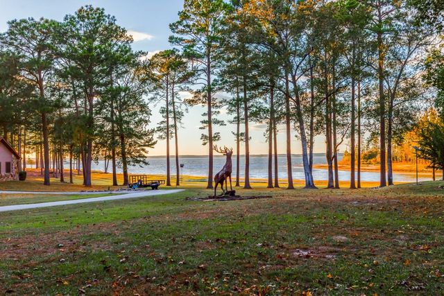 331 & 441 Shoreline Drive, Brookeland, TX 75931