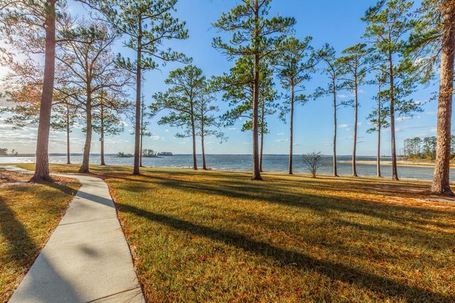 331 & 441 Shoreline Drive, Brookeland, TX 75931