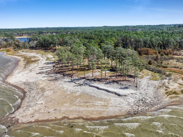 331 & 441 Shoreline Drive, Brookeland, TX 75931