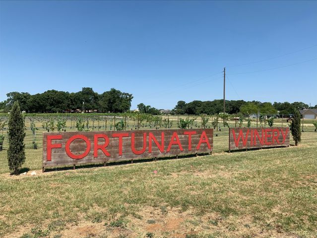 14155 Marion Downs Trail, Pilot Point, TX 76258