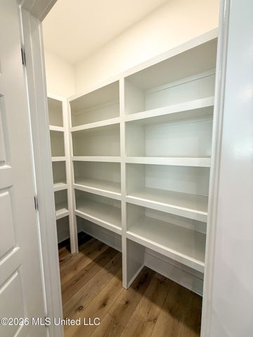 350 Oakville Circle, Brandon, MS 39047