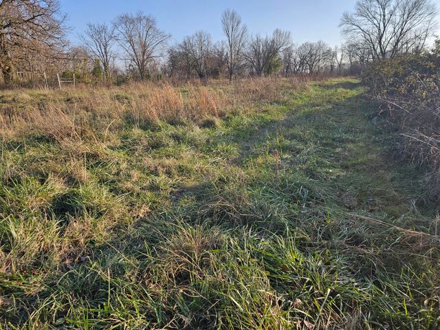 162 Hobbs Road, Anderson, MO 64831