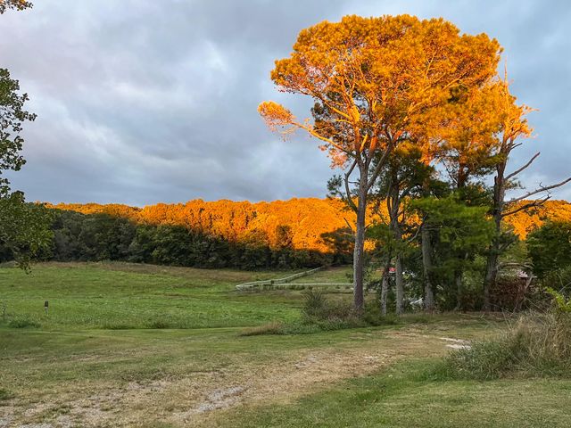 5531 Blue Springs Road, Cleveland, TN 37311