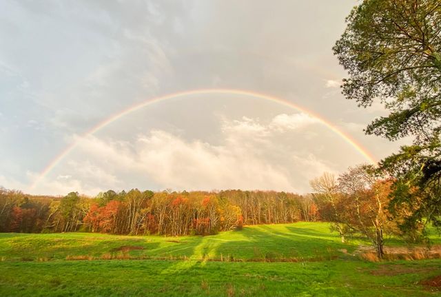 5531 Blue Springs Road, Cleveland, TN 37311