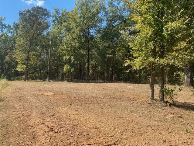 LOT 7R-1 N Private Road 52416 Road, Leesburg, TX 75451