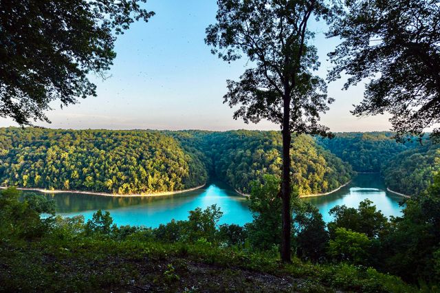 490 January Pl, Smithville, TN 37166