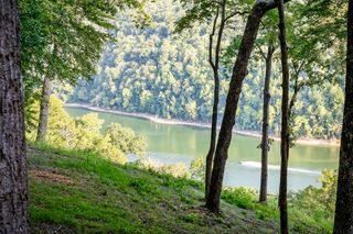 490 January Pl, Smithville, TN 37166