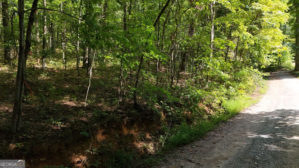 LOT 184 Hillside Drive, Clarkesville, GA 30523 — photo 2