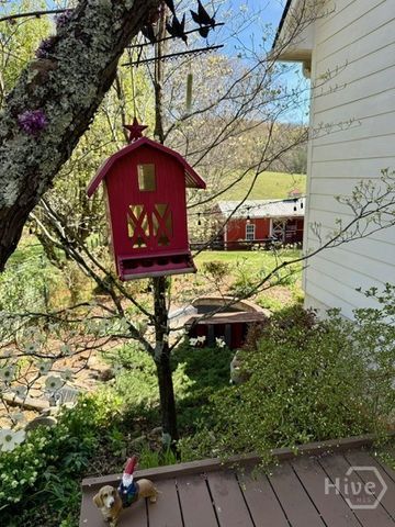 991 Adair Mill Road, Cleveland, GA 30528