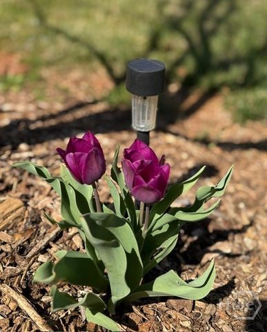 991 Adair Mill Road, Cleveland, GA 30528