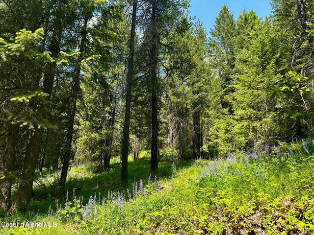 TBD Kreiger Creek Rd. Lot 1, Careywood, ID 83809