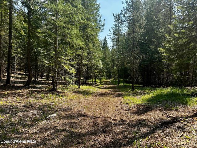 TBD Kreiger Creek Rd. Lot 1, Careywood, ID 83809