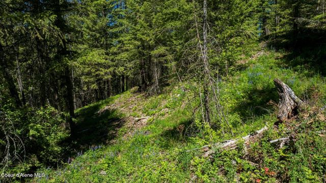 TBD Kreiger Creek Rd. Lot 1, Careywood, ID 83809