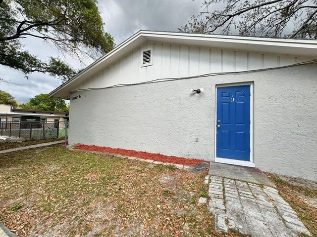 10015 N ASTER AVENUE B, Tampa, FL 33612